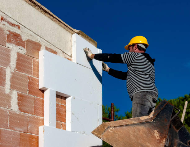 Best Insulation Materials and Products in Beacon Hill, WA