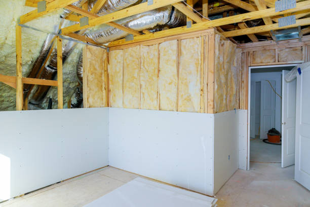 Best Types of Insulation in Beacon Hill, WA