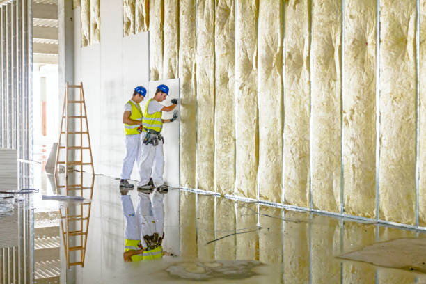 Best Insulation Maintenance and Repair in Beacon Hill, WA